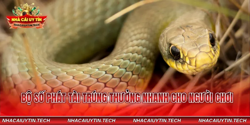 Bộ số phát tài trúng thưởng nhanh cho người chơi