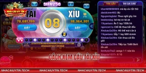 cách xem cầu tài xỉu