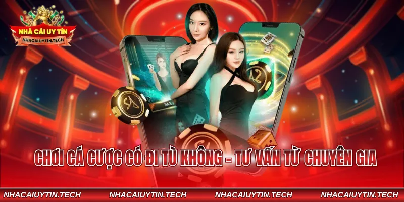 Chơi cá cược có đi tù không - tư vấn từ chuyên gia
