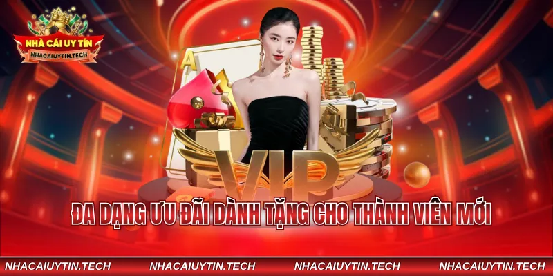 Đa dạng ưu đãi dành tặng cho thành viên mới