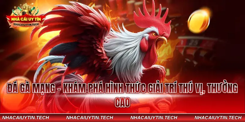 Đá gà mạng - Khám phá hình thức giải trí thú vị, thưởng cao