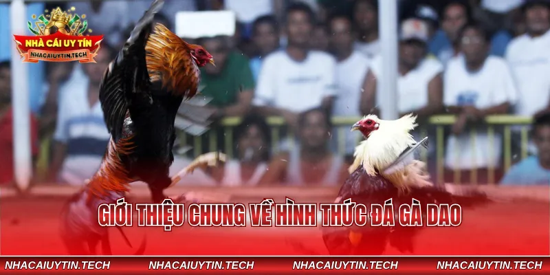 Giới thiệu chung về hình thức đá gà dao