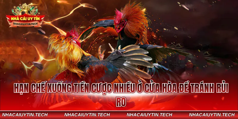 Hạn chế xuống tiền cược nhiều ở cửa hòa để tránh rủi ro