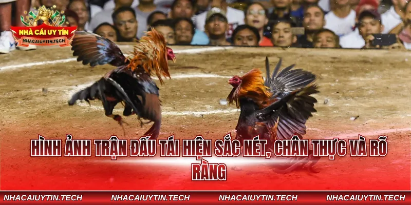 Hình ảnh trận đấu tái hiện sắc nét, chân thực và rõ ràng