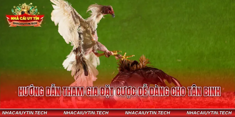 Hướng dẫn tham gia đặt cược dễ dàng cho tân binh