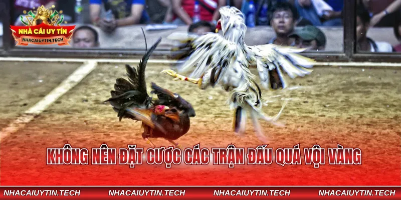 Không nên đặt cược các trận đấu quá vội vàng