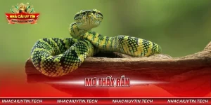 mơ thấy rắn