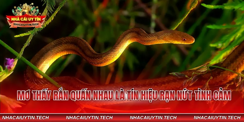 Mơ thấy rắn quấn nhau là tín hiệu rạn nứt tình cảm