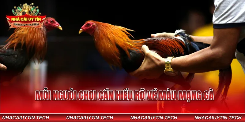 Mỗi người chơi cần hiểu rõ về màu mạng gà