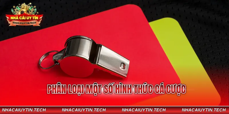 Phân loại một số hình thức cá cược